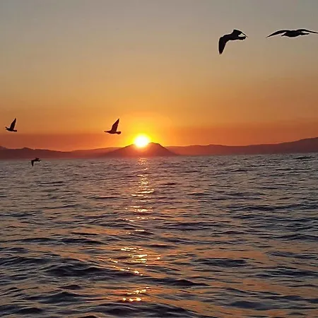 @ بيت شباب موتشيا